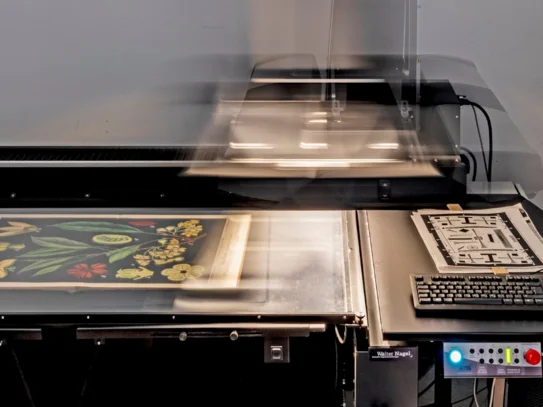 Digitalisierung an der SUB Göttingen Ein botanisches Werk wird von einem Scanner digitalisiert, rechts daneben zeigt ein PC-Bildschirm die aktuell gescannte Seite.