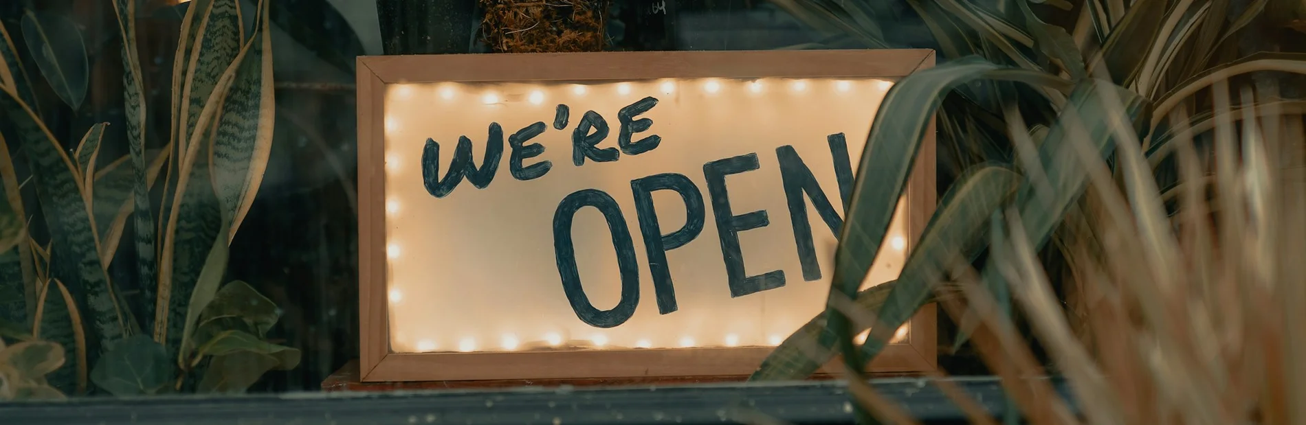 Beleuchtetes Schilf mit der Aufschrift "We're open", das in einem mit Pflanzen dekorierten Fenster steht.