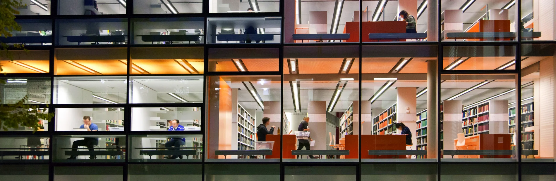 Beleuchtete Fensterfront der Bereichsbibliothek Kulturwissenschaften der SUB Göttingen