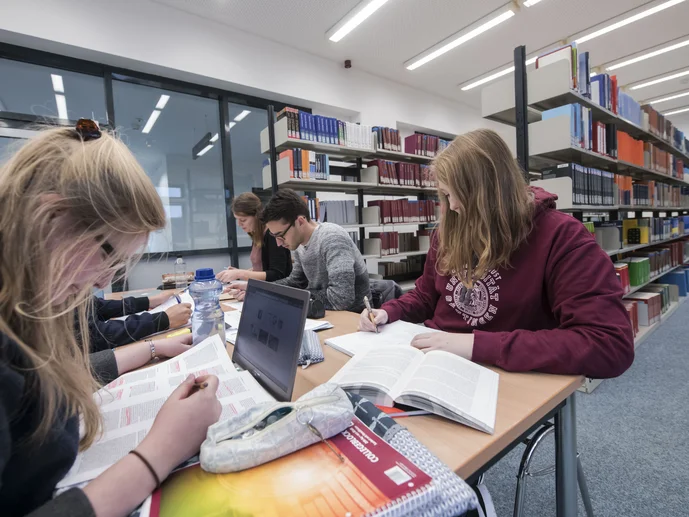 Studierende lernen in der Bibliothek