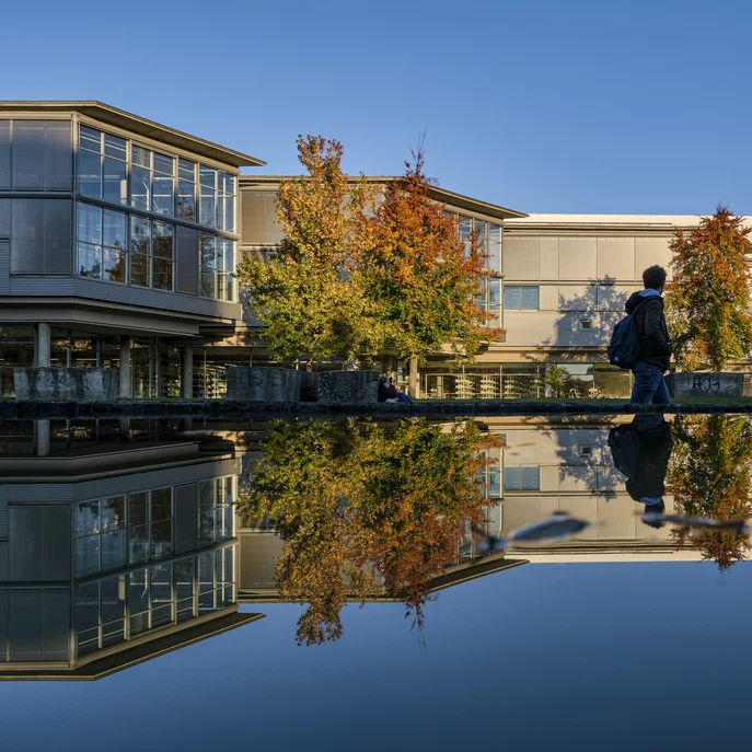 Die Zentralbibliothek spiegelt sich im Wasser im Herbst