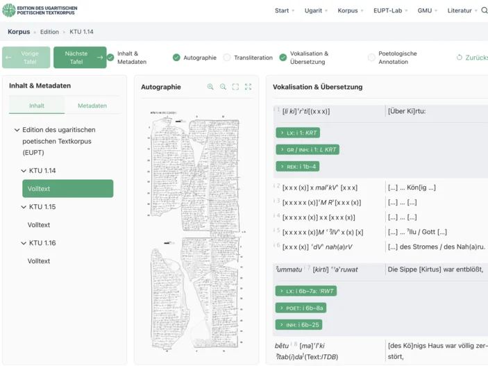 Screenshot des TIDO-Viewers